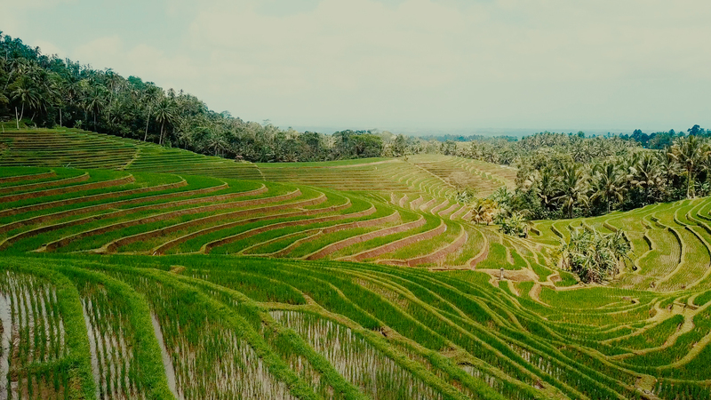 eco-friendly developments Tabanan