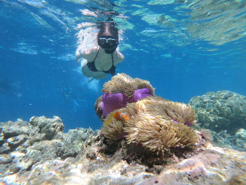 Outdoor Activity - Snorkelling