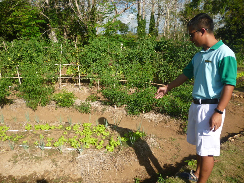 Learn Organic Farming in a Luxury Five-Star Bali Resort