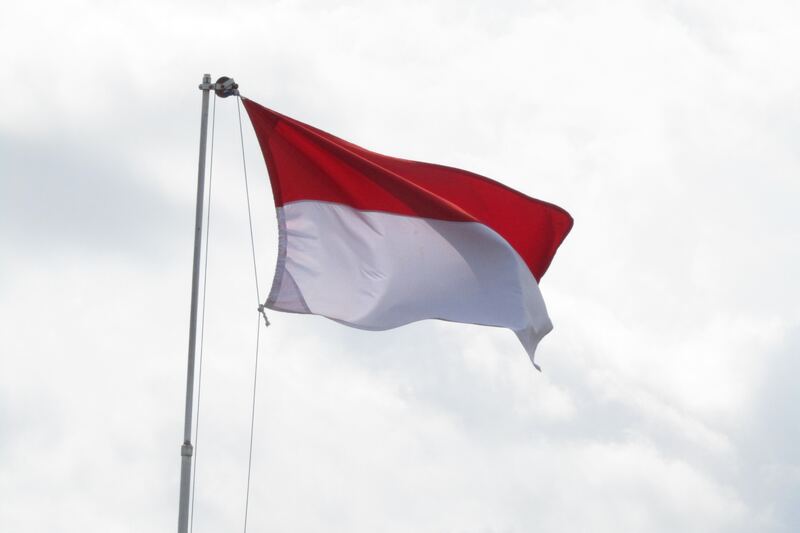 Penelitian tersebut mengungkapkan bahwa bendera Indonesia tidak dapat dikenali oleh orang dewasa