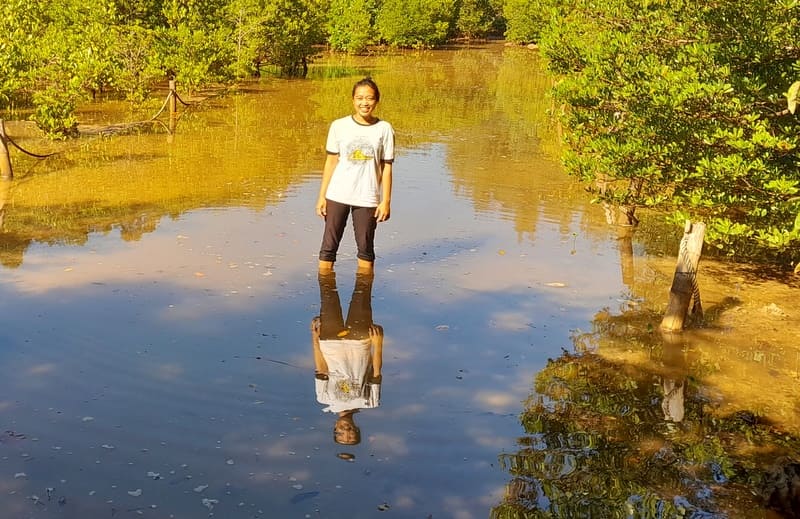 The Ways to Help Stabilise Mud Are by Creating Trash Barriers and Planting Mangroves