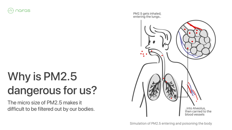 Why Is PM2.5 Dangerous for Us?