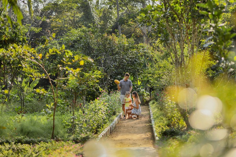 Agroforestry Garden at Padma Resort Ubud