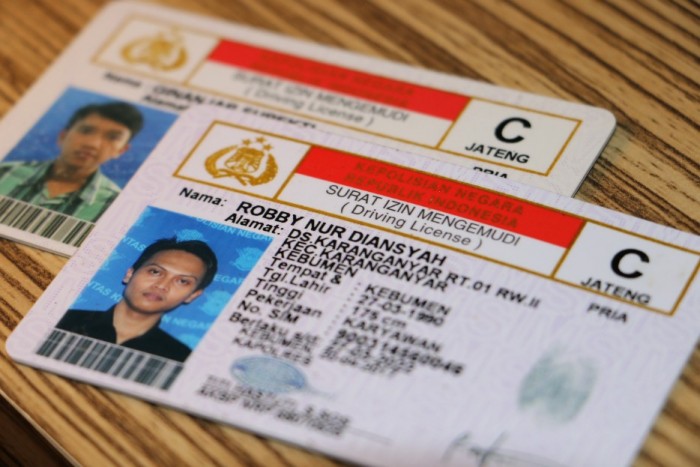 The Global Validity of Indonesian Driving Licence