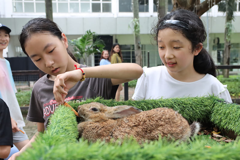 PKU ES students' activities with animals