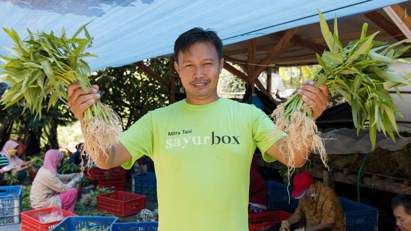 Sayurbox: Your Fresh Journey in Jakarta