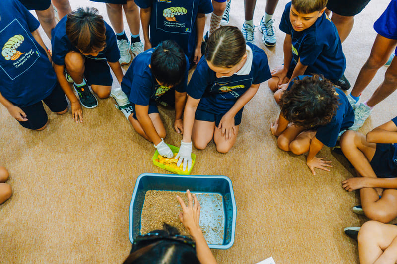 Young Changemakers Celebrate World Food Day with Magi Farm Maggots