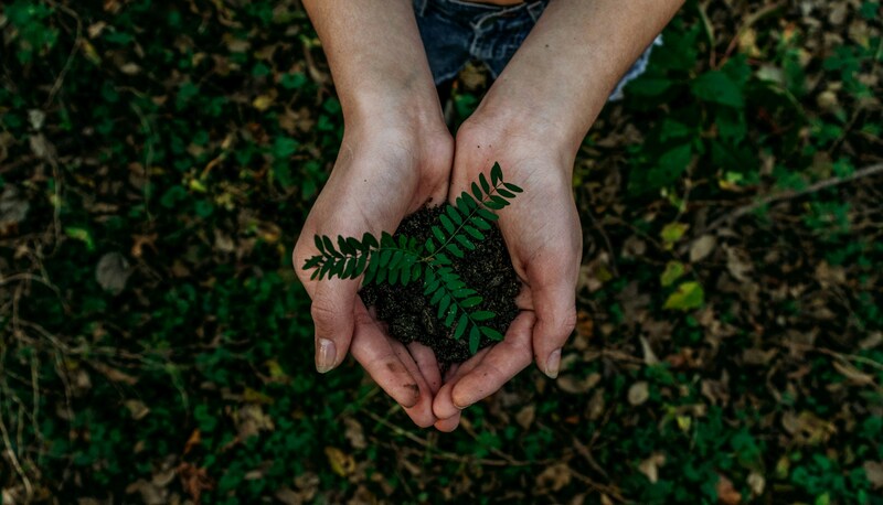 Indonesia's Green Transition: How Environmental Taxes Can Fuel Sustainable Growth