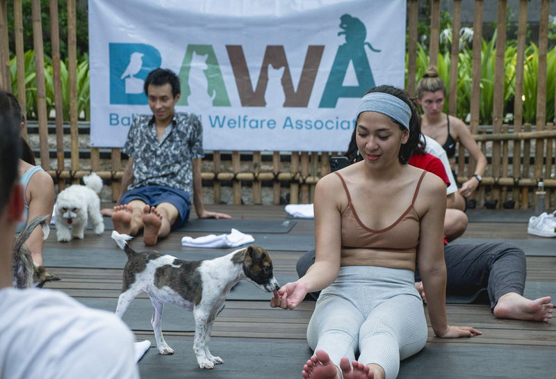 MoodBooster Puppy Yoga at Hotel Indigo Bali Seminyak Beach
