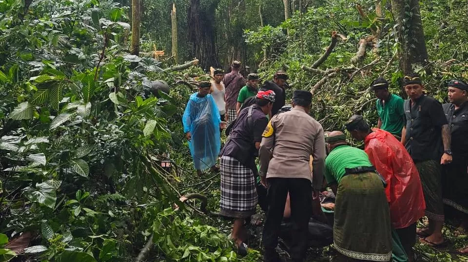 Two Foreigners Die from Falling Tree in Monkey Forest Bali