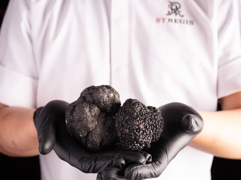 French Black Winter Truffle.