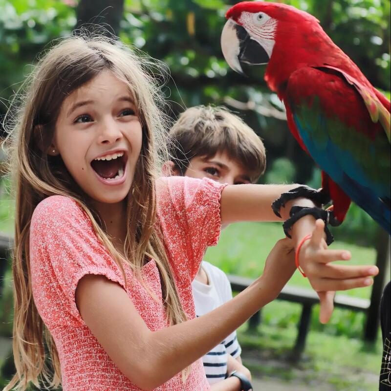 Bali Bird Park