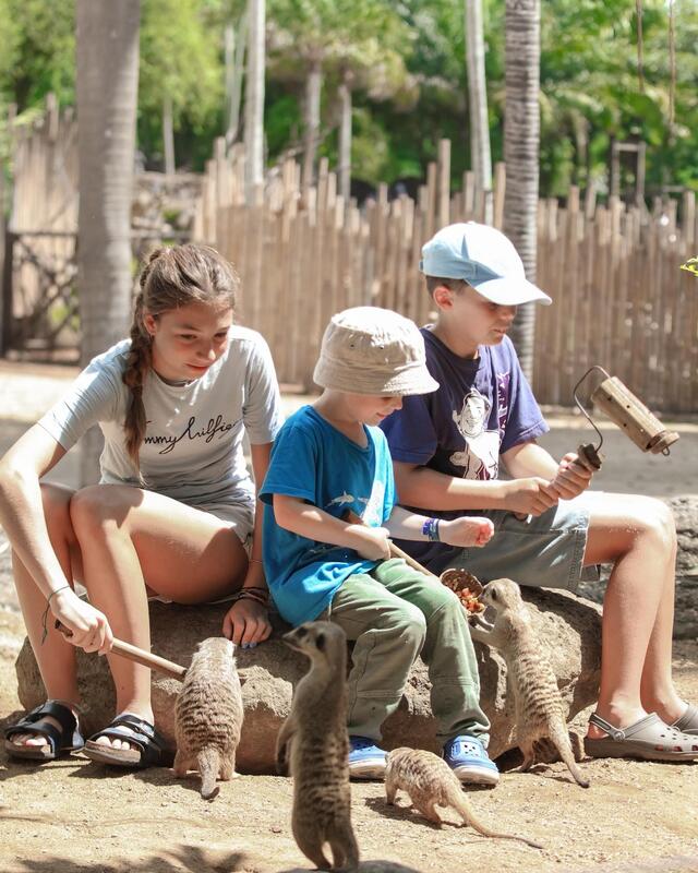 Bali Zoo