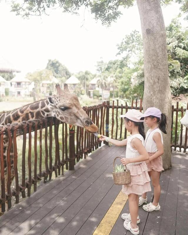 The Amazing Taman Safari Bali