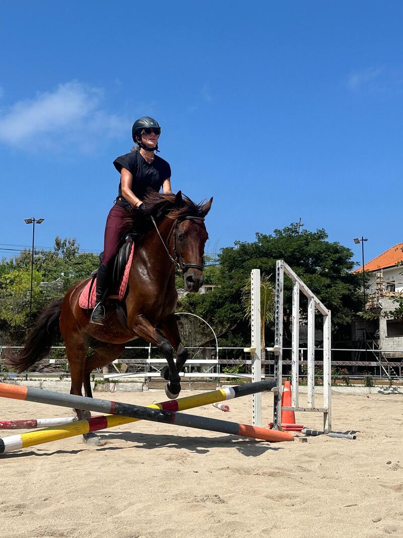 Royal Sporthorse Bali
