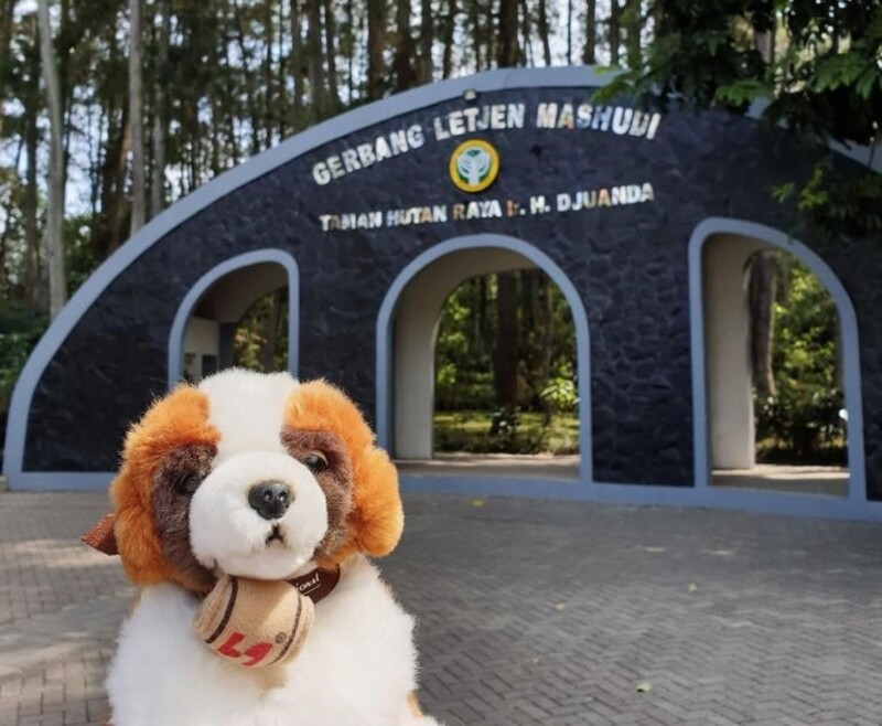 STAY, PLAY, GETAWAY TO SWISS-BELRESORT DAGO HERITAGE