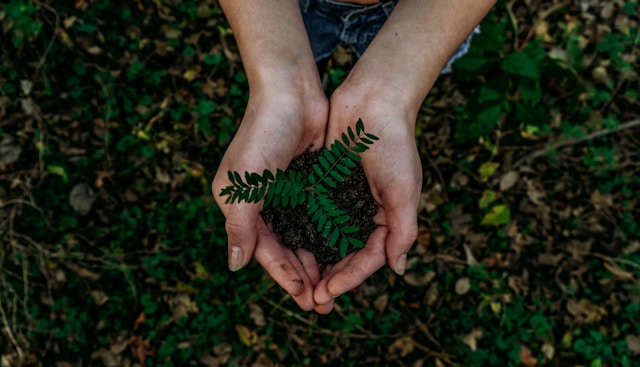 Environmental Sustainability