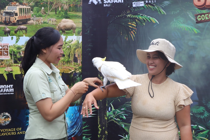 Kakatua Jambul Kuning (Yellow-crested Cockatoo)