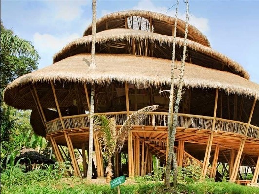 Education in Bali 