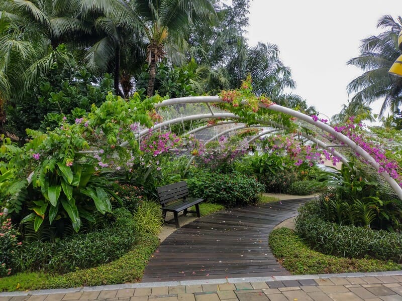 Country Garden