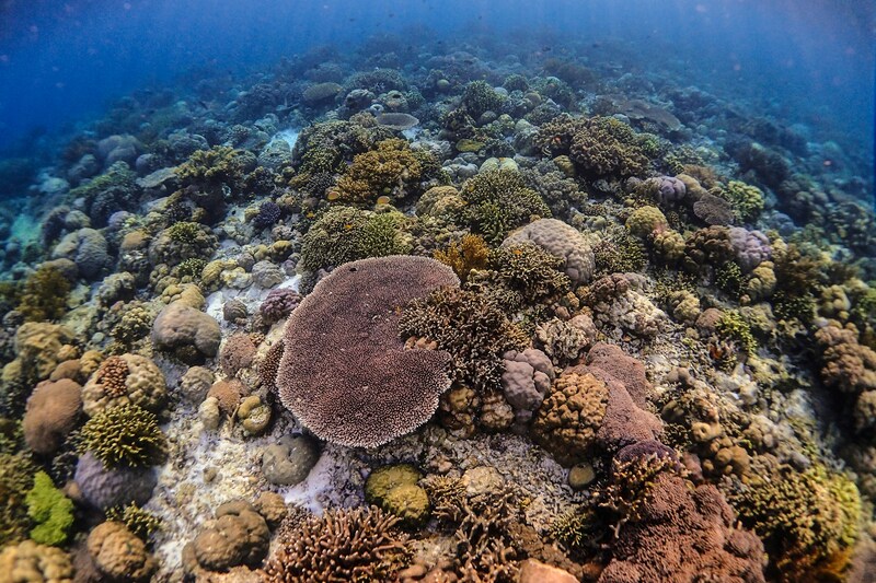 Hidden Island Gems in Indonesia - Wakatobi
