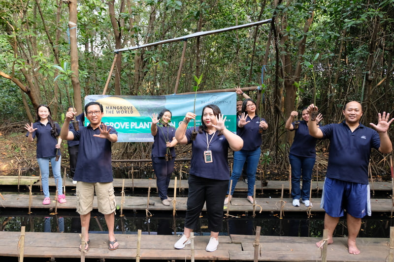 Mangrove Planting Programme