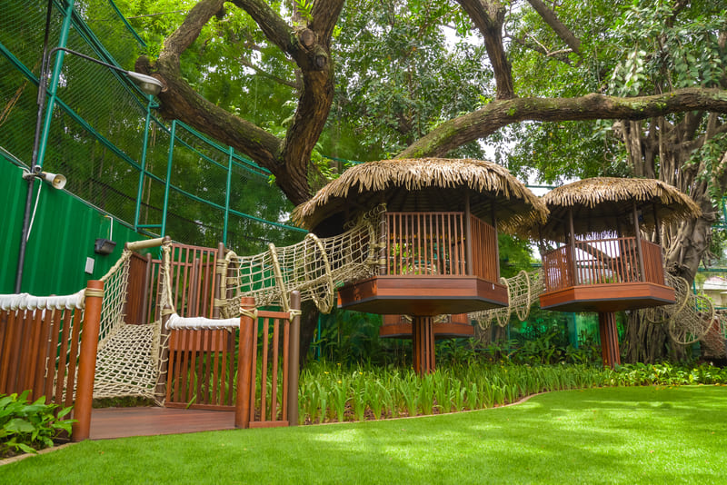 The Playground