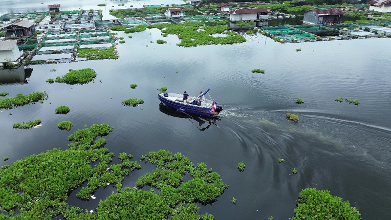 Get to Know PT Tampubolon Sloep Dutch Desain, Where You Can Find Comfy, Sustainable Boats