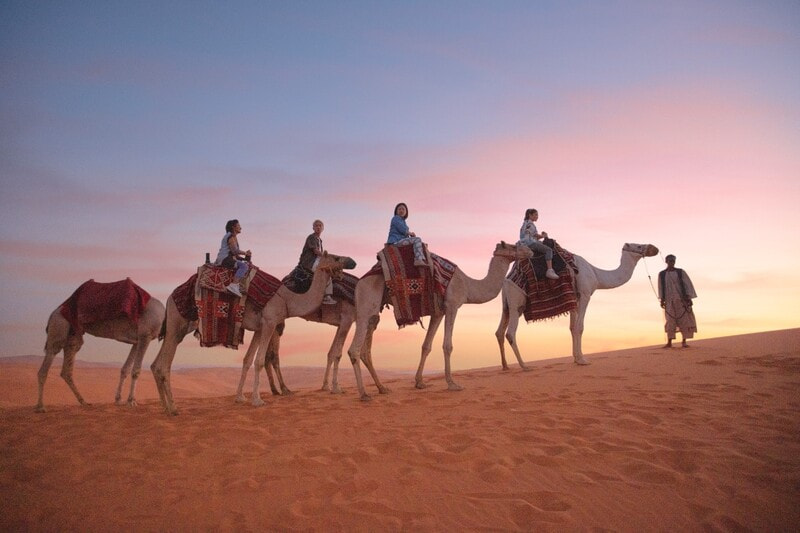 Camel ride in the desert