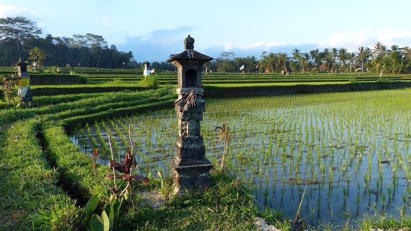 Bali Tourism and Investment Chamber (BTIC)