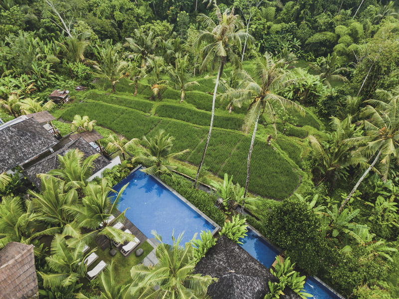 Stay at Maar Resort, a Hidden Gem Sanctuary in Ubud