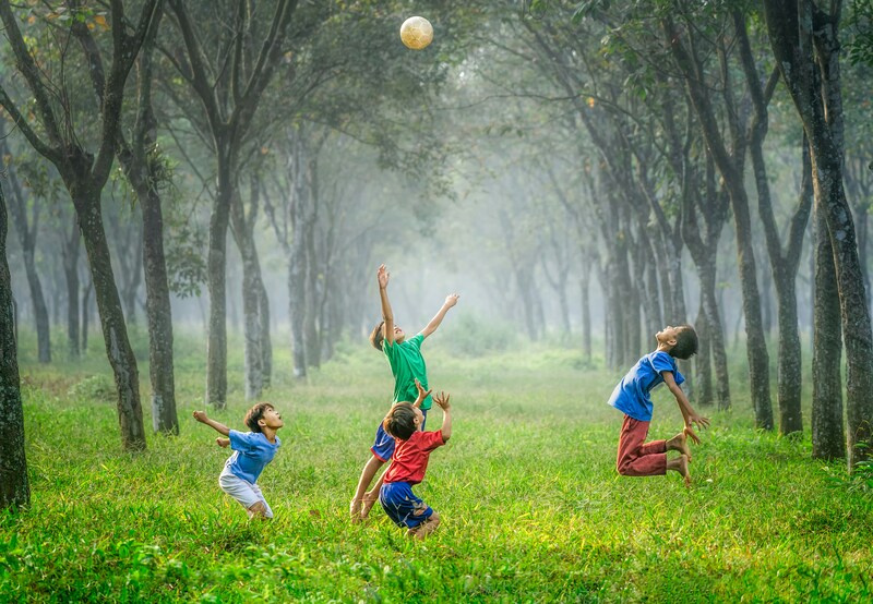 Green Spaces & Mental Wealth: How Residential Greenness Shapes Child Emotional Development in Indonesia