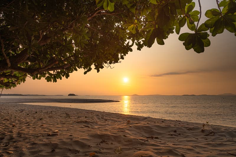 Joyo Resort - Bintan island