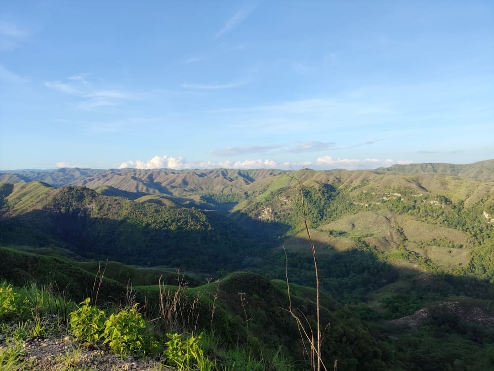 Tanarara
