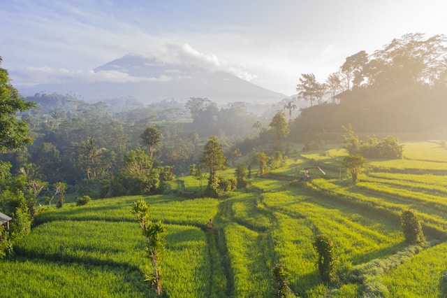 Bali’s Most Profitable Real Estate Investments