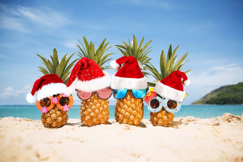 From London Winters to Tropical Christmas