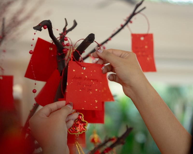 The Wishing Tree