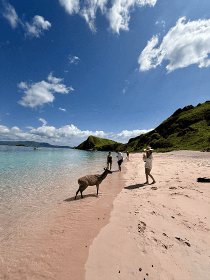 Pink Beach