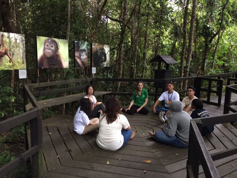 Environmental Education