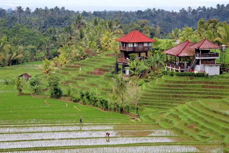 Structure is the New Luxury in Bali’s Property Market