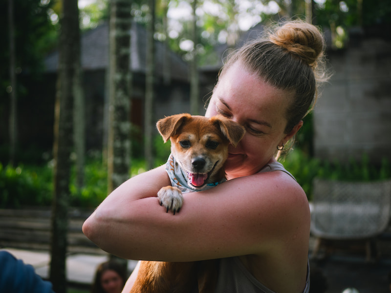 Puppy Yoga at Hotel Indigo Bali