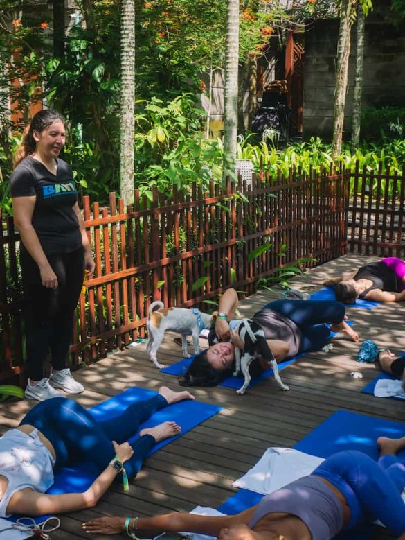 Hotel Indigo Bali Seminyak Beach Puppy Yoga with BAWA: Wellness Meets Animal Welfare