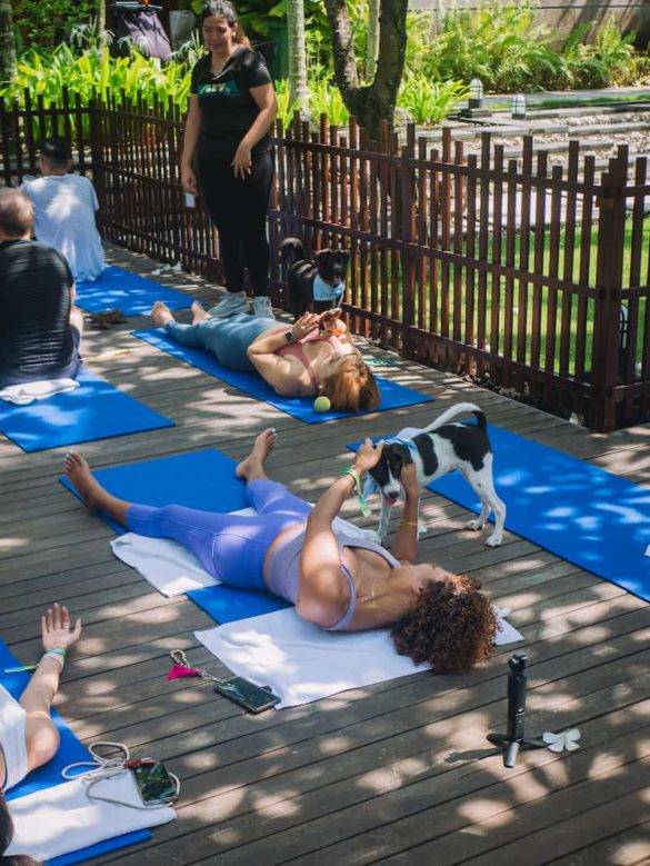 Seminyak Puppy Yoga returns April–June, supporting Bali animal welfare