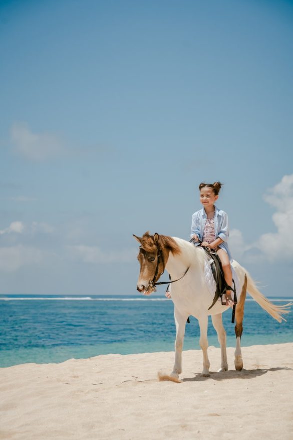 pony rides