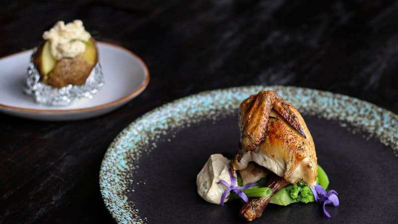 Spring Chicken