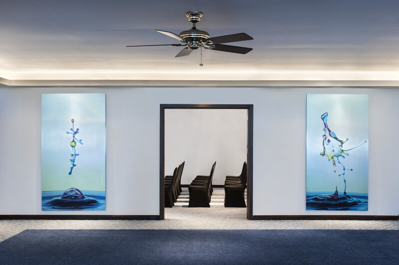 Venue with Contemporary Design
