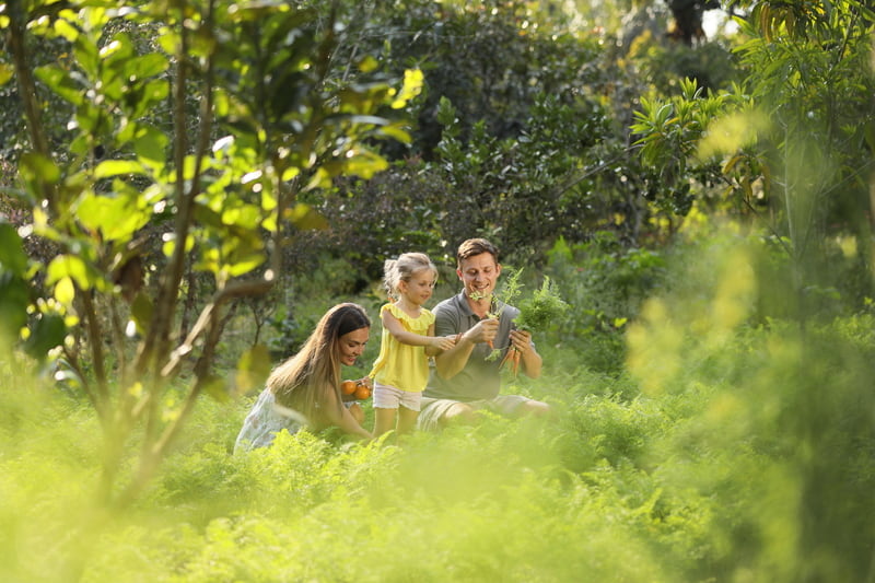 Your Next Family Escape Starts in Padma Resort Ubud