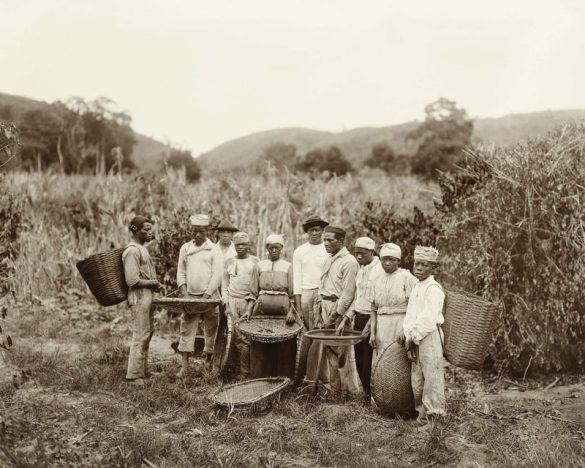The Story of Coffee in Indonesia
