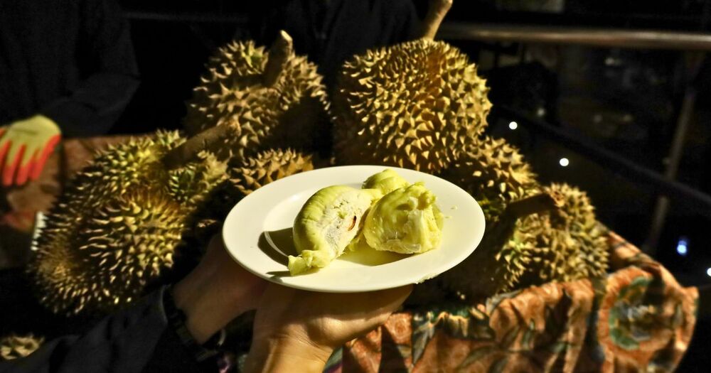 A True Paradise for Durian Enthusiasts