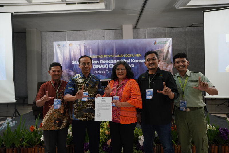 Javan Hawk-Eagle Conservation Strategy and Action Plan